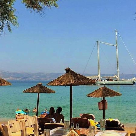 Cactus Beach Paros Logaras Dış mekan fotoğraf